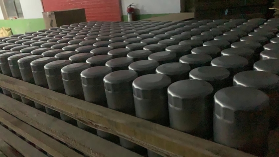 15400-PLM-A01 Oliefilters voor dieselmotoren