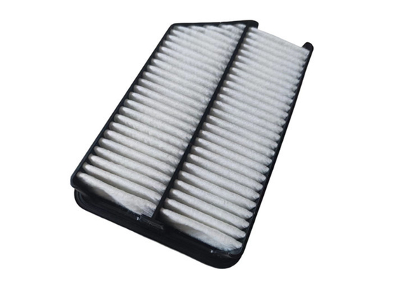 Filters van de de Autolucht van pp de zwarte voor Dieselmotoren 28113-2S000 28113-3X000